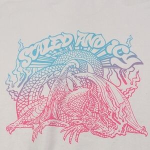 Twenty One Pilots Scaled and Icy Tie Dye 2022 Vintage Concert Hoodie Medium